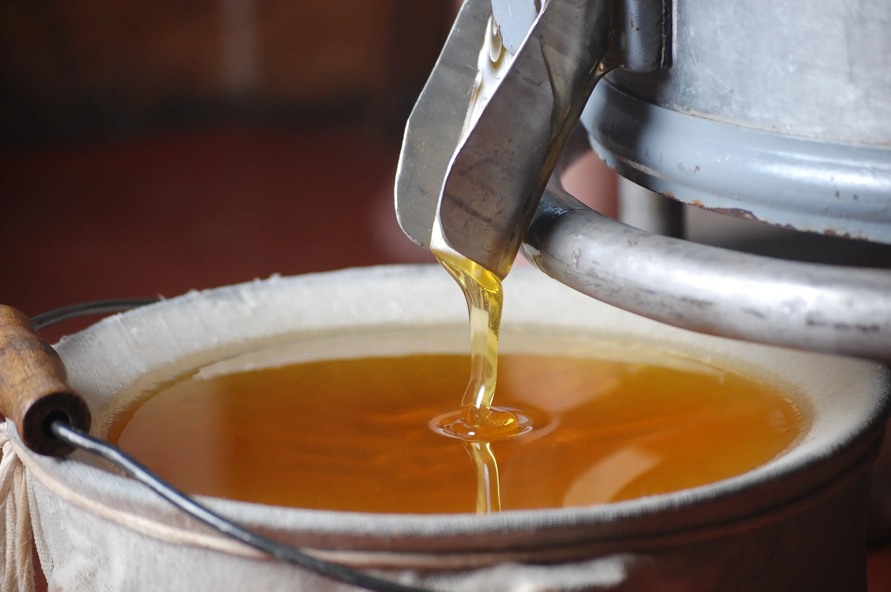 Manuka Honey Umf 20+: Digestive Health